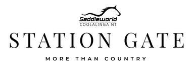 Saddleworld